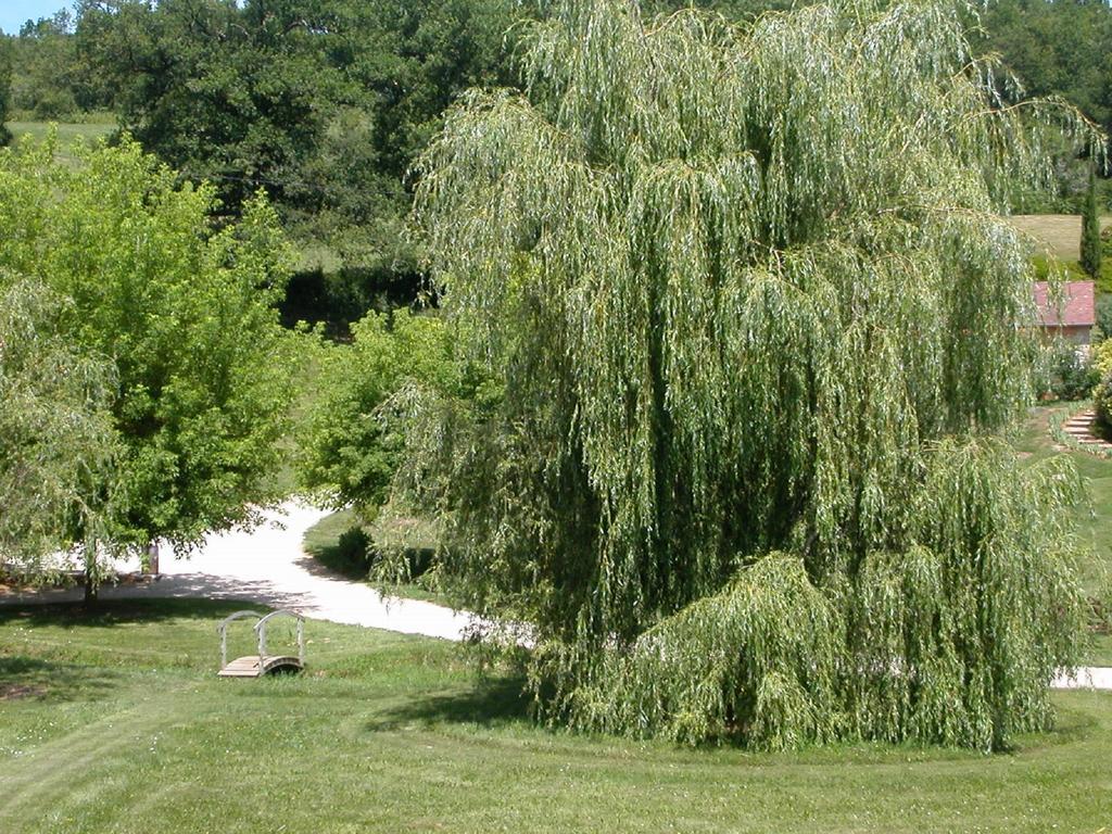 Hameau Les Combelles Villa Martel Luaran gambar